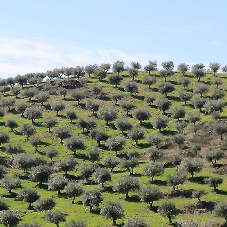 Agroturismo Casal De Castro Avantos 외부 사진