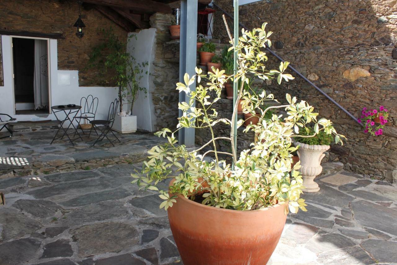 Agroturismo Casal De Castro Avantos 외부 사진
